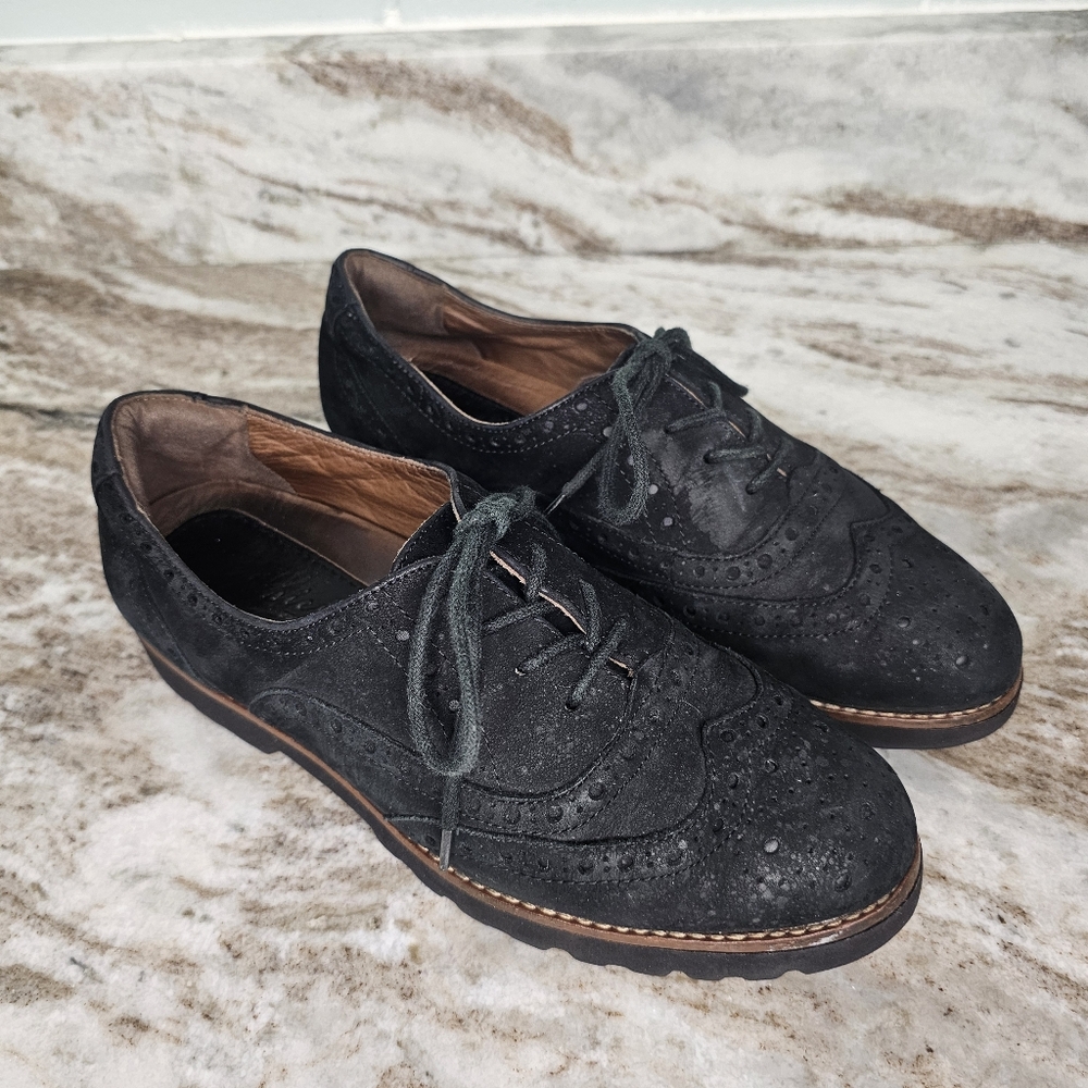 Earthies Women's Santana Wingtip Oxford Black Suede Earthies